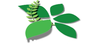 Liren Silicone - Custom 3D Silicone Mold Factory & OEM/ODM Manufacturer